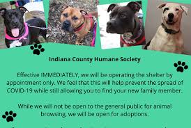 Updated on november 25, 2020. Indiana County Humane Society