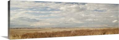 Prairie Panorama Wall Art Canvas