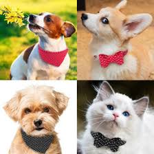 Keep your cat or kitten safe with personalized cat collars at petsmart. Shop Leather Bandana Dog Collar Uk Leather Bandana Dog Collar Free Delivery To Uk Dhgate Uk