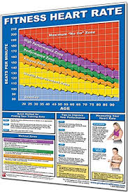 Buy Algra Fitnus Chart Series Training Heart Rate Target In
