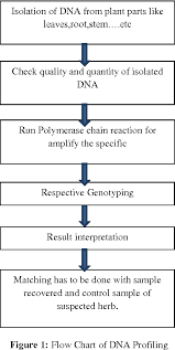 Figure 1 From Application Of Dna Fingerprinting Tools For