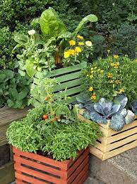 Container Gardening Vegetable Garden
