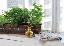 How To Grow A Windowsill Herb Garden