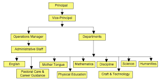 Described School Organisational Chart School Org Chart