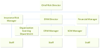 Erm Organizational Chart Download Scientific Diagram