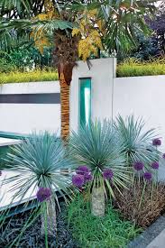 Top Uses Of Palm Trees In Garden Design