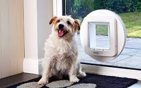 Small Microchip Dog Door Wood Or Glass