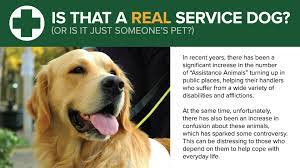 Studies show service dogs are effective at treating depression and anxiety. Is That A Real Service Dog Or Is It Just Someone S Pet Orvis News