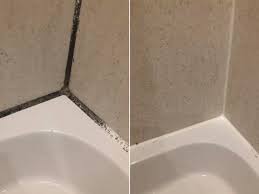 cleaning for removing mould from