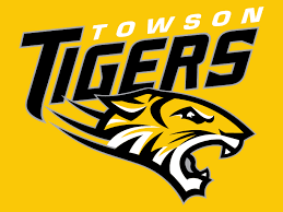 Image result for towson university logo