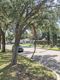hoa tree management tree solutions of