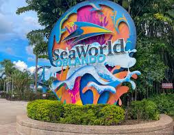 best things to do at sea world orlando