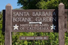 santa barbara botanic garden is a