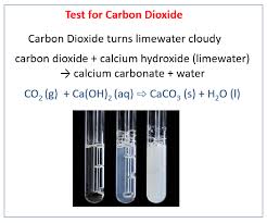 Limewater Test To Check For Carbon