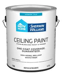 ceiling paint at lowes com