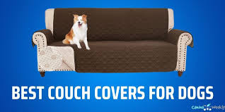 the 10 best couch covers for dogs