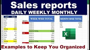 daily s report sle excel