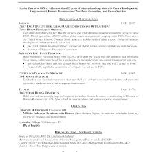 Resume Blank Format Professional Chronological Resume Template
