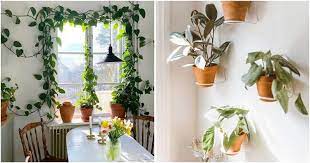 Build A Beautiful Hanging Plant Wall