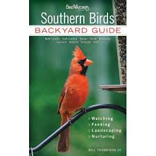 Southern Birds Backyard Guide Watching Feeding