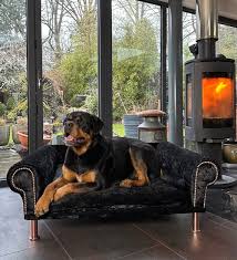 Luxury Velvet Dog Sofa Bed