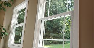 Double Pane Glass Windows