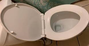 how to tighten any loose toilet seat in