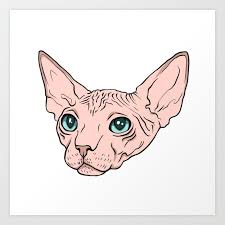 sphynx cat art print by jenna mccloskey