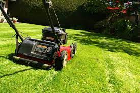 lawn mower repair near me wmg garden