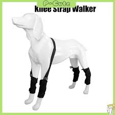 knee strap walker anti lick wound