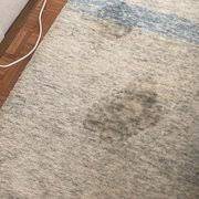 dupont circle carpet cleaning 1509