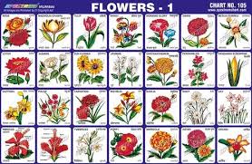 flowers chart at rs 10 piece teaching