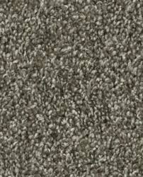 tempt phenix carpet warehouse carpets