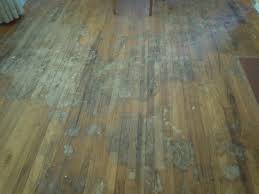 hope for urine stained oak hardwood floors