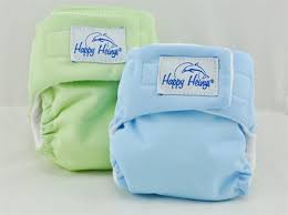 Lovely Eco Chic Diaper Service Lovely Eco Chic Preemie