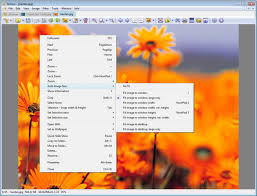 Xnview is a free software for windows that allows you to view, resize and edit your photos. Xnview Portable Download