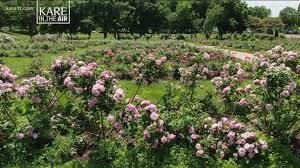 lyndale park rose garden