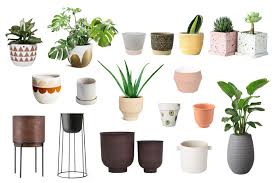 where to plant pots in singapore