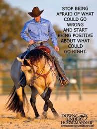 Image result for horse training