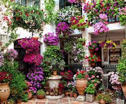 Andalusian Patios Colourful Spanish