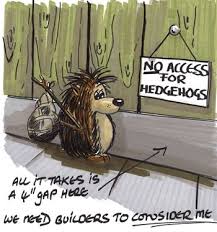 Image result for hedgehogs versus builders