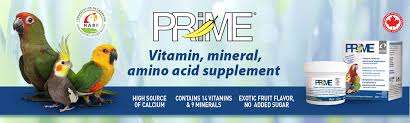 Prime Vitamin Mineral Amino Acid Supplement For Birds Hari