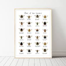 Us 8 2 Bees Of Kew Gardens Chart Art Canvas Poster Prints Home Wall Decor Painting 24x36 Inches In Painting Calligraphy From Home Garden On