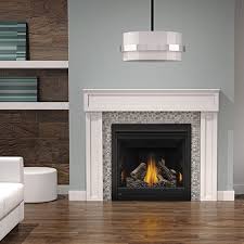 Gas Fireplace Napoleon B36 Direct Vent