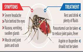 Dengue Fever Prevention Foods To Eat And Avoid News