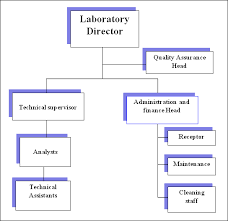 Quality Laboratory Organization Chart Related Keywords