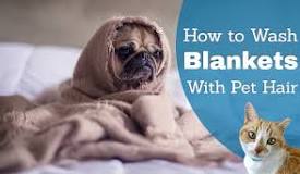 can-i-wash-blankets-with-dog-hair