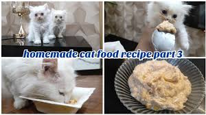 homemade cat food persian cat food