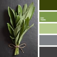 I'd use it in a matte finish on walls, where it would be. Gray And Light Green Color Palette Ideas
