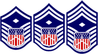 Cadet Grades And Insignia Of The Civil Air Patrol Wikipedia